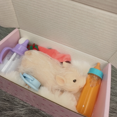 Силиконовая свинка реборн Plushie-4